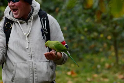 DSC_0482 (Large).JPG